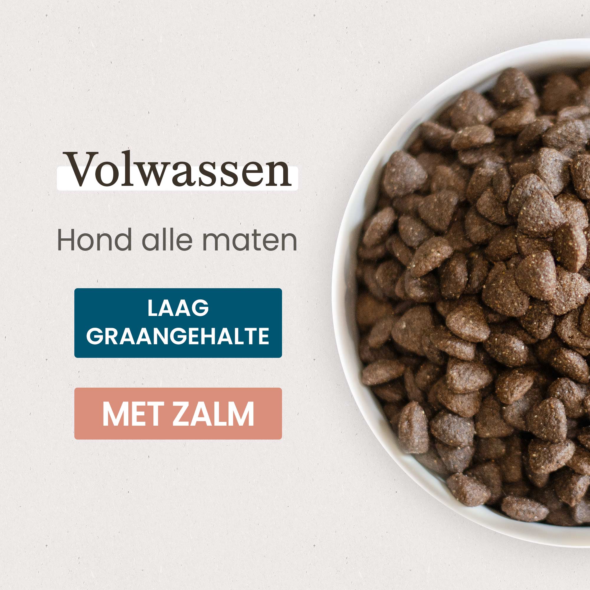 Kom met Super Premium Zalm- en Brokken voor volwassen hond van alle groottes in close-up
