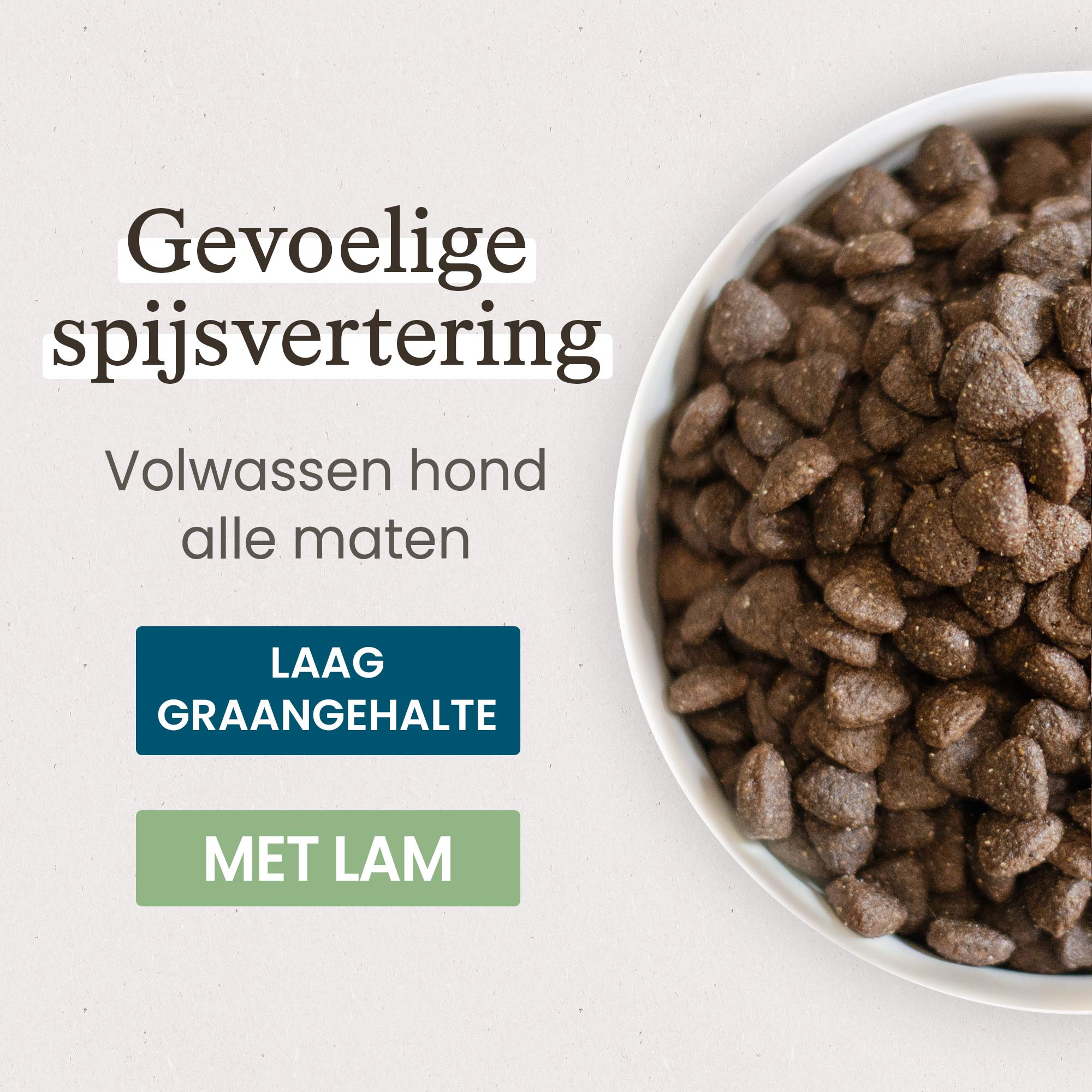 Kom met Super Premium Brokken voor een gevoelige spijsvertering, volwassen hond van alle groottes close-up