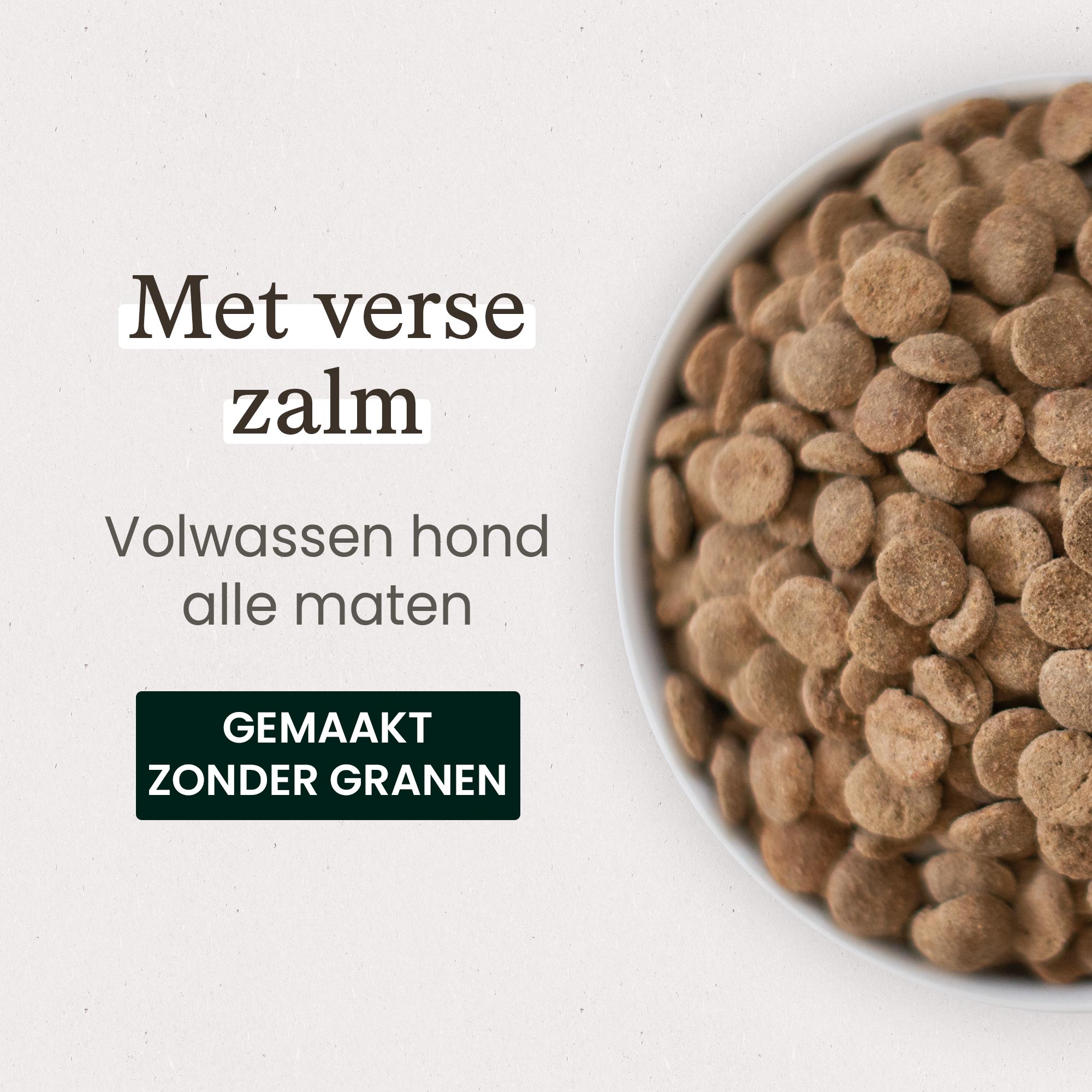 Kom met graanvrije brokken met verse zalm voor volwassen hond close-up