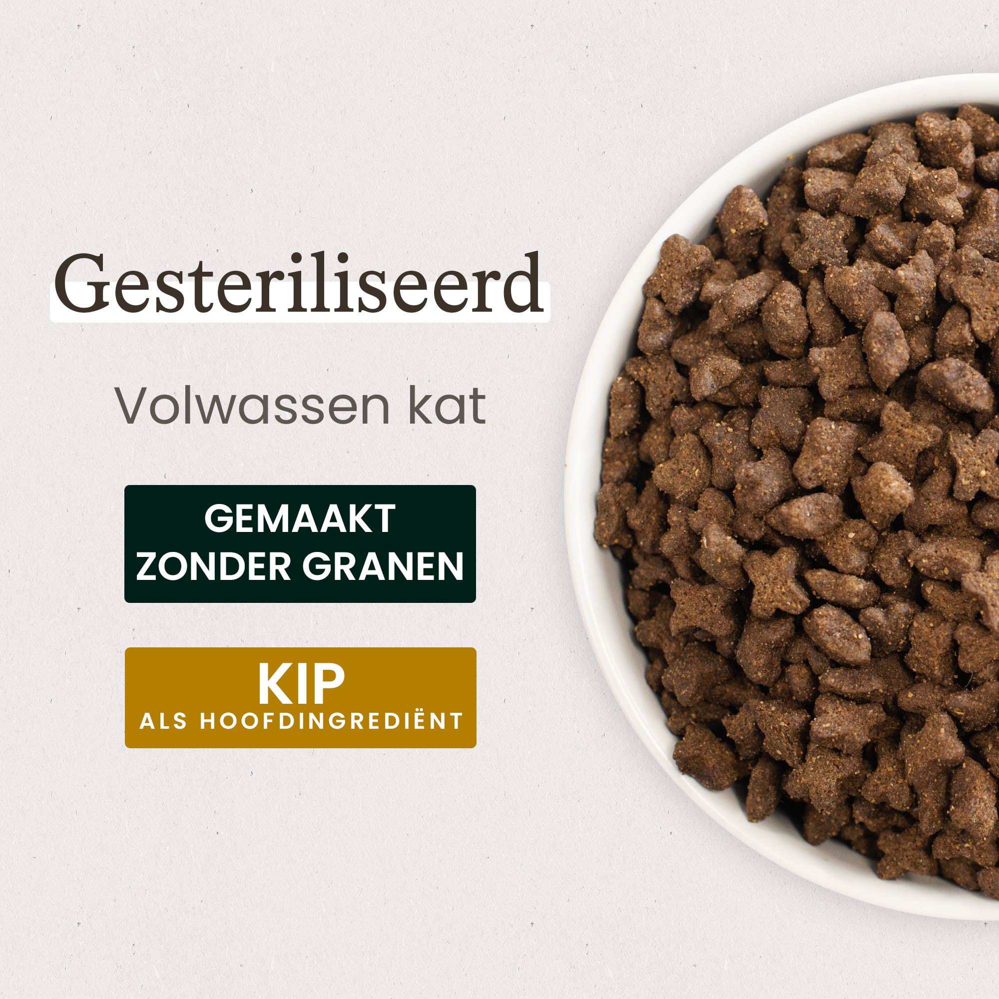 Close-up van een kom met graanvrije kippenbrokjes voor een gesteriliseerde volwassen kat.