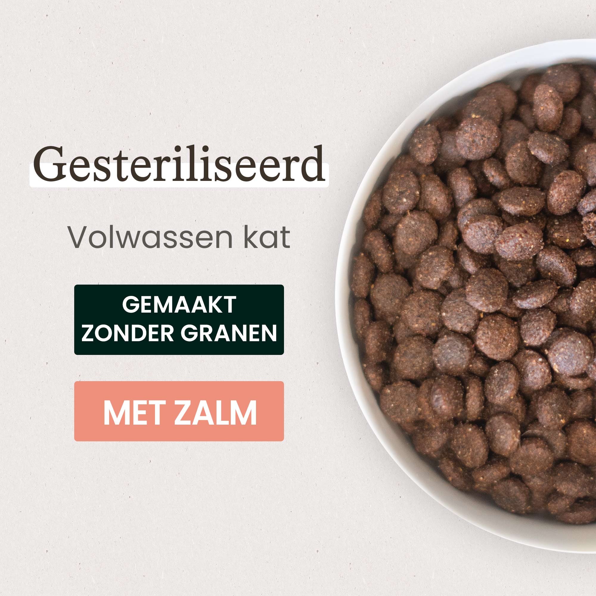 Een nadere blik op een kom graanvrije brokken met zalmsmaak voor gesteriliseerde volwassen katten