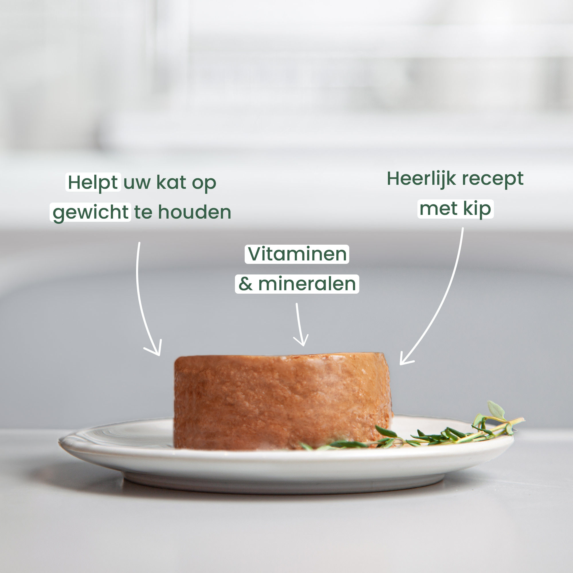 Graanvrije mousse voor gesteriliseerd volwassen kat met kip op een bord en benadrukt de voordelen ervan