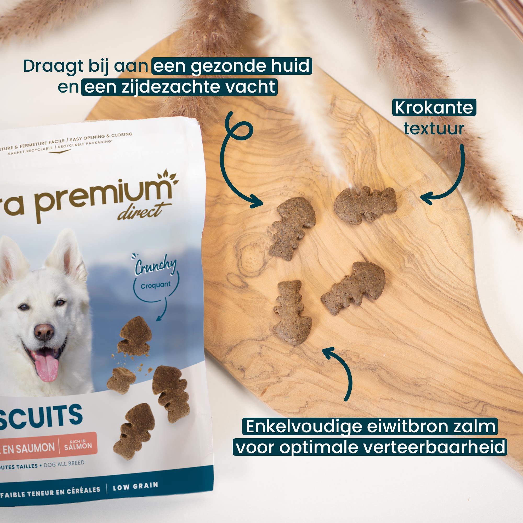 Wij benadrukken de voordelen van zalmhuid- en snacks voor hond, geplaatst op een houten plank