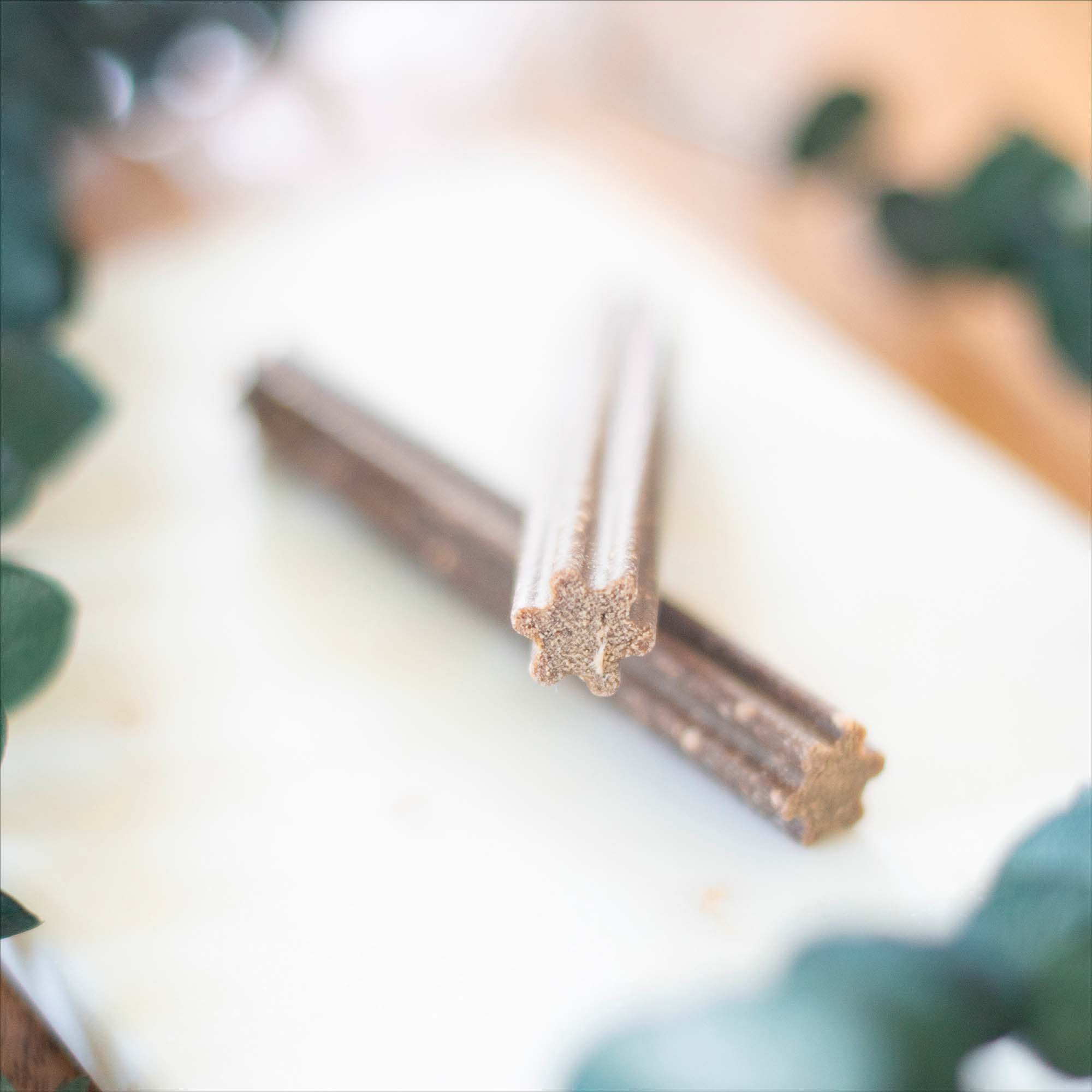 2 kauwstaafjes voor hond vanaf 25 kg, geplaatst in een wit bord