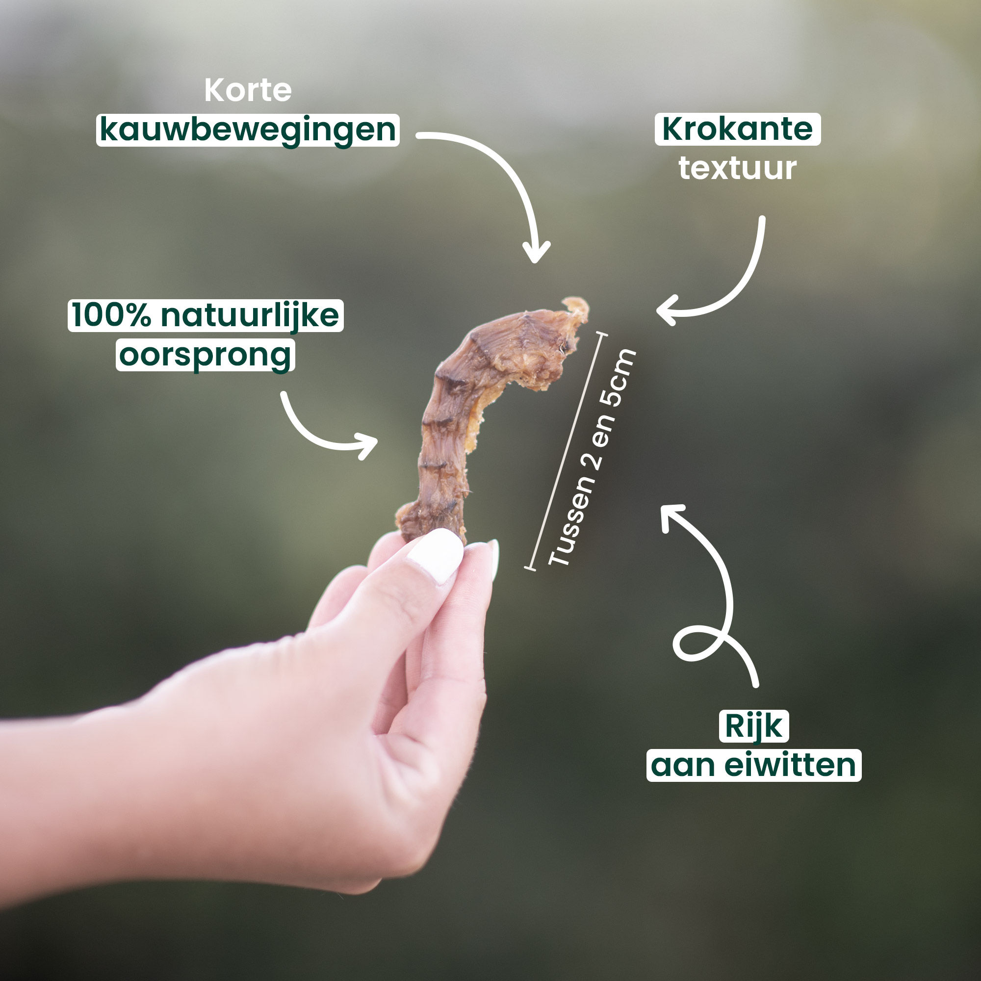 De voordelen van kippennekken voor honden benadrukken