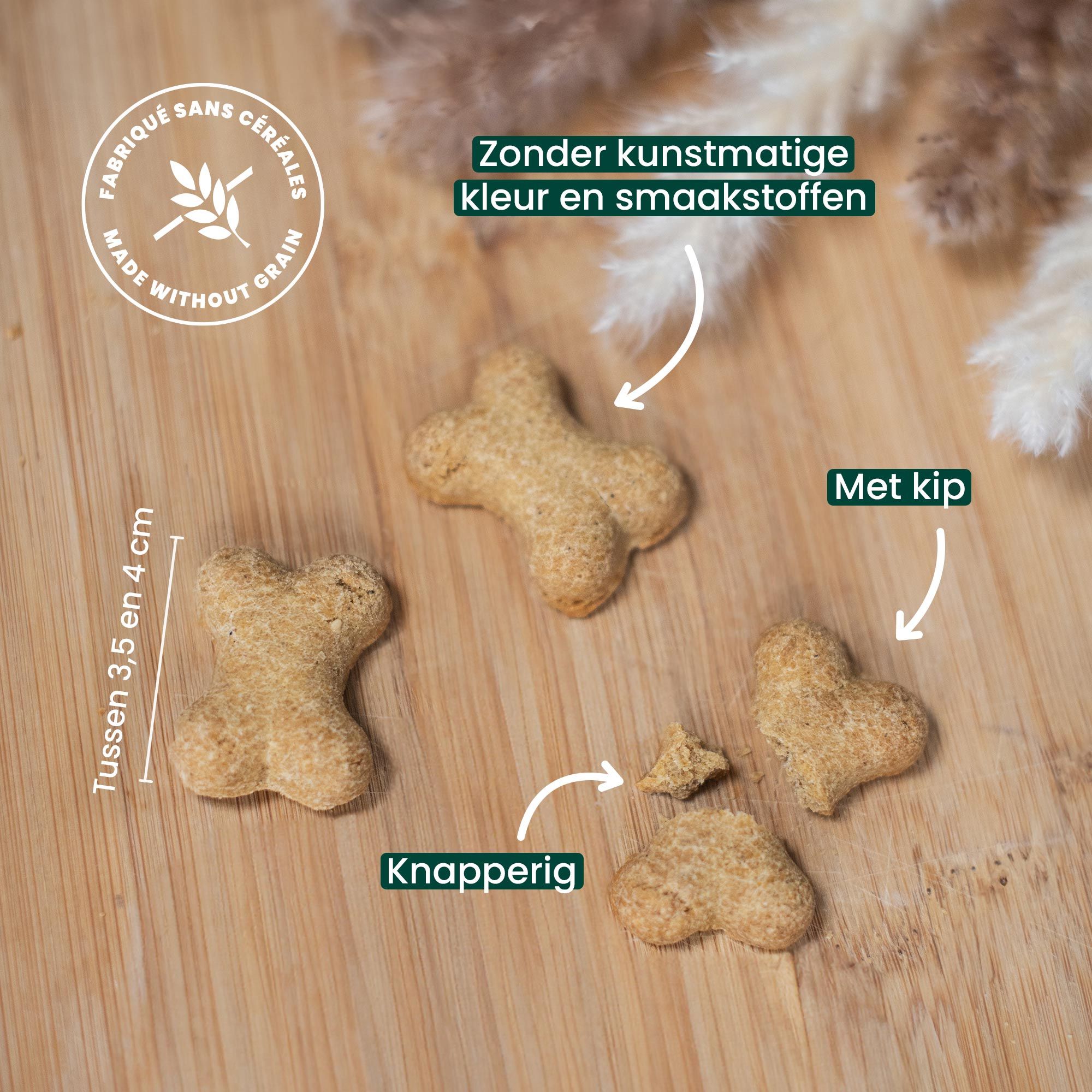 4cm kipkrokantkoekjes