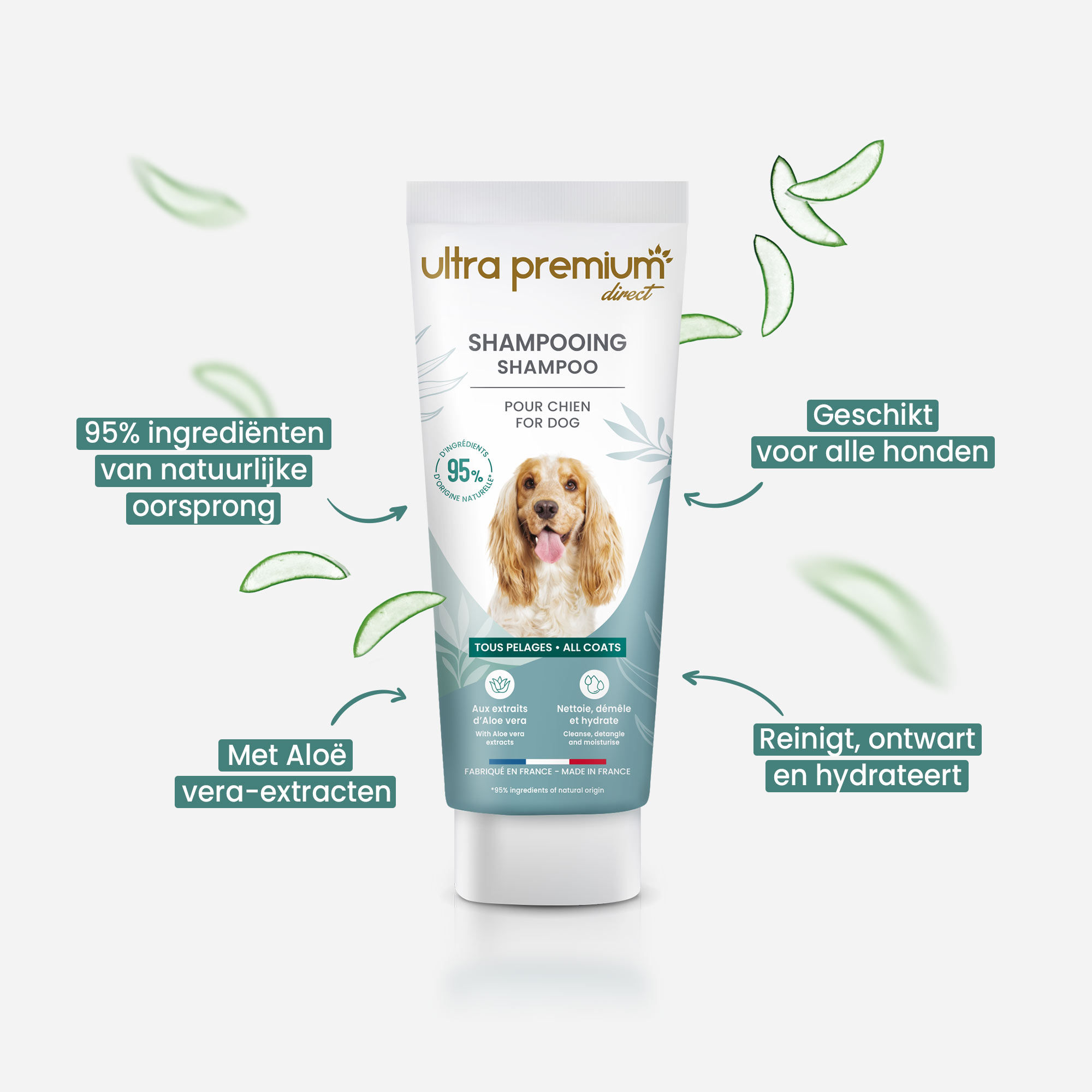 Wij benadrukken de voordelen van shampoo voor alle hond