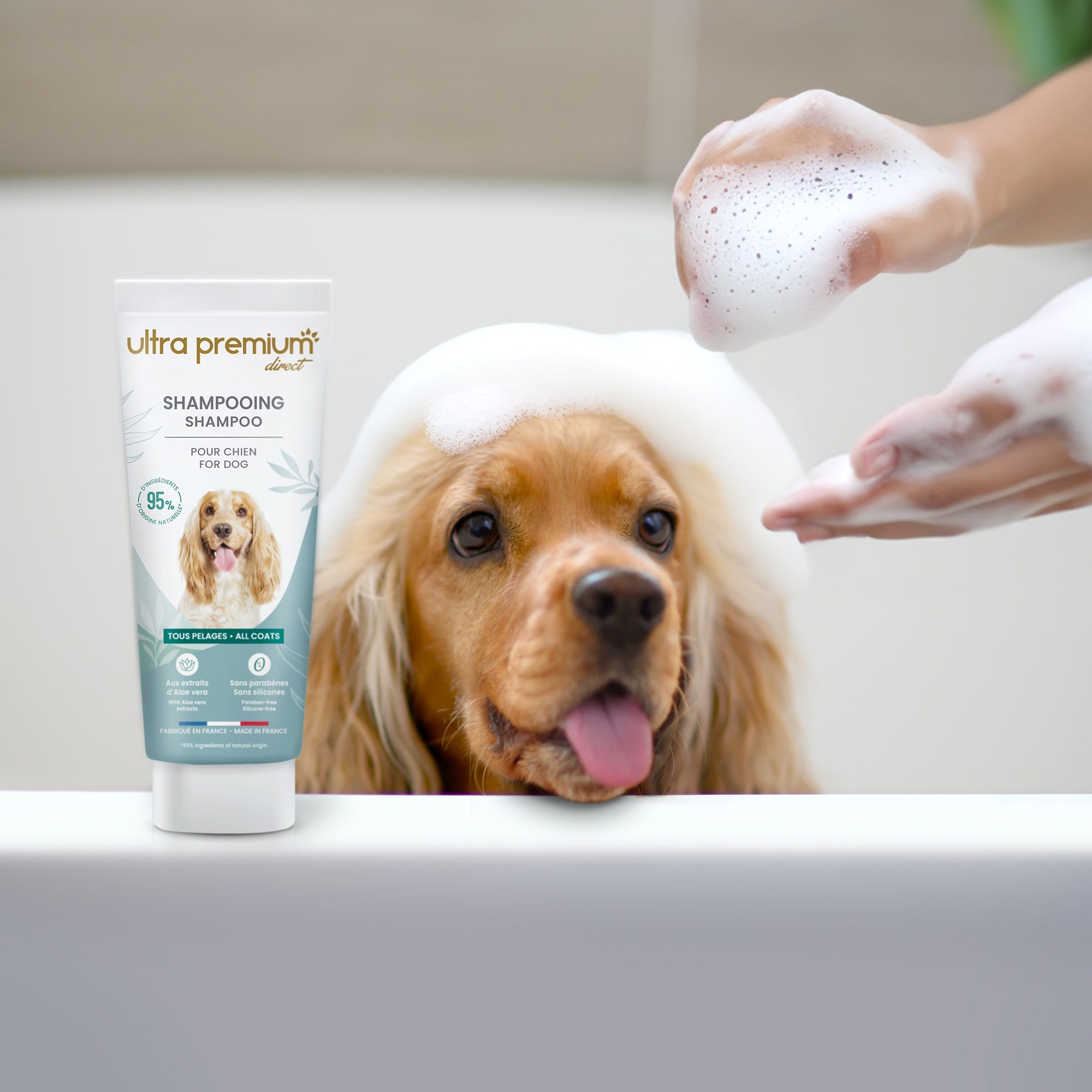 Engelse Cocker Spaniel zit in een badkuip met zeepsop en shampoo voor alle jassen ernaast