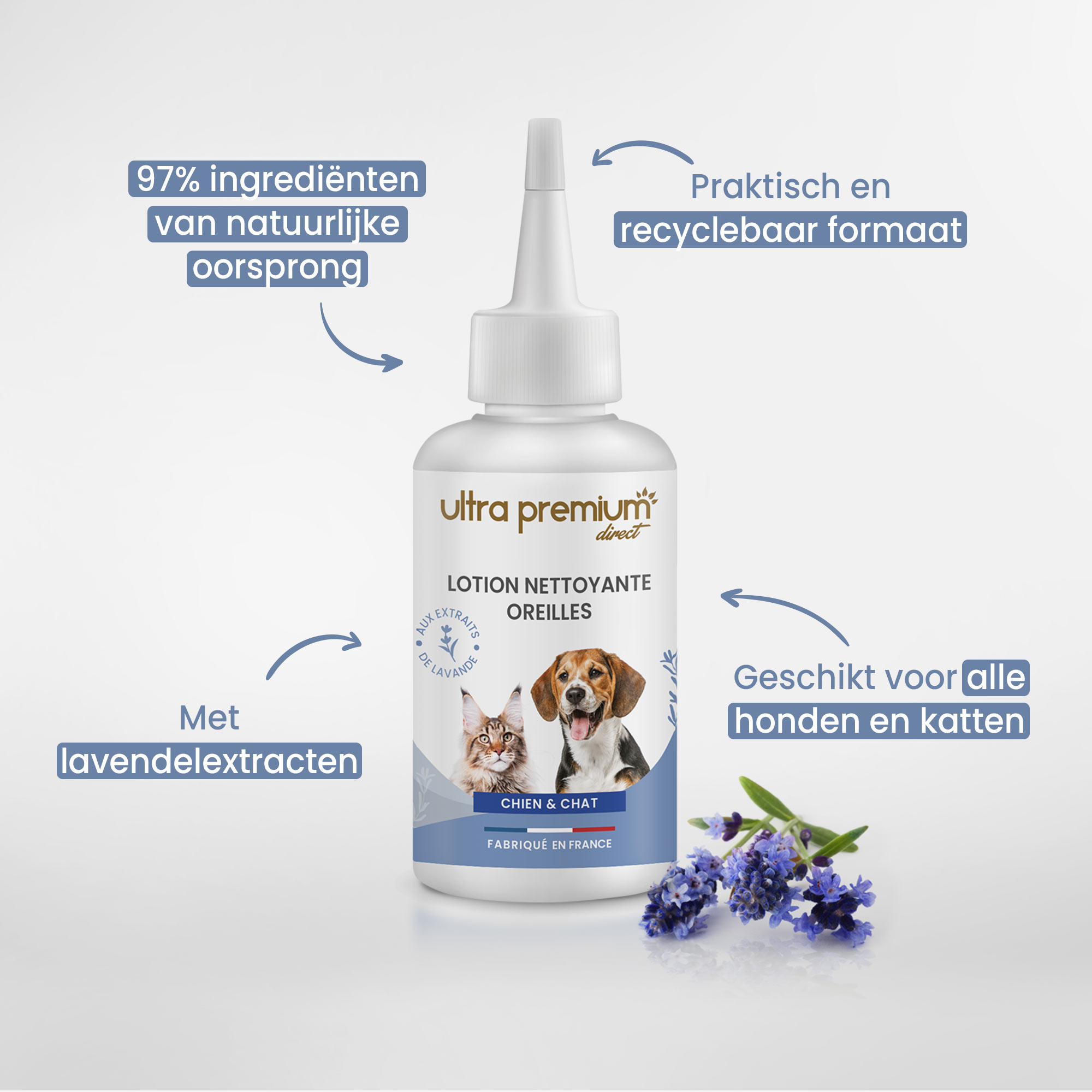 Kruising teckel zit naast oorreinigingslotion voor hond en kat