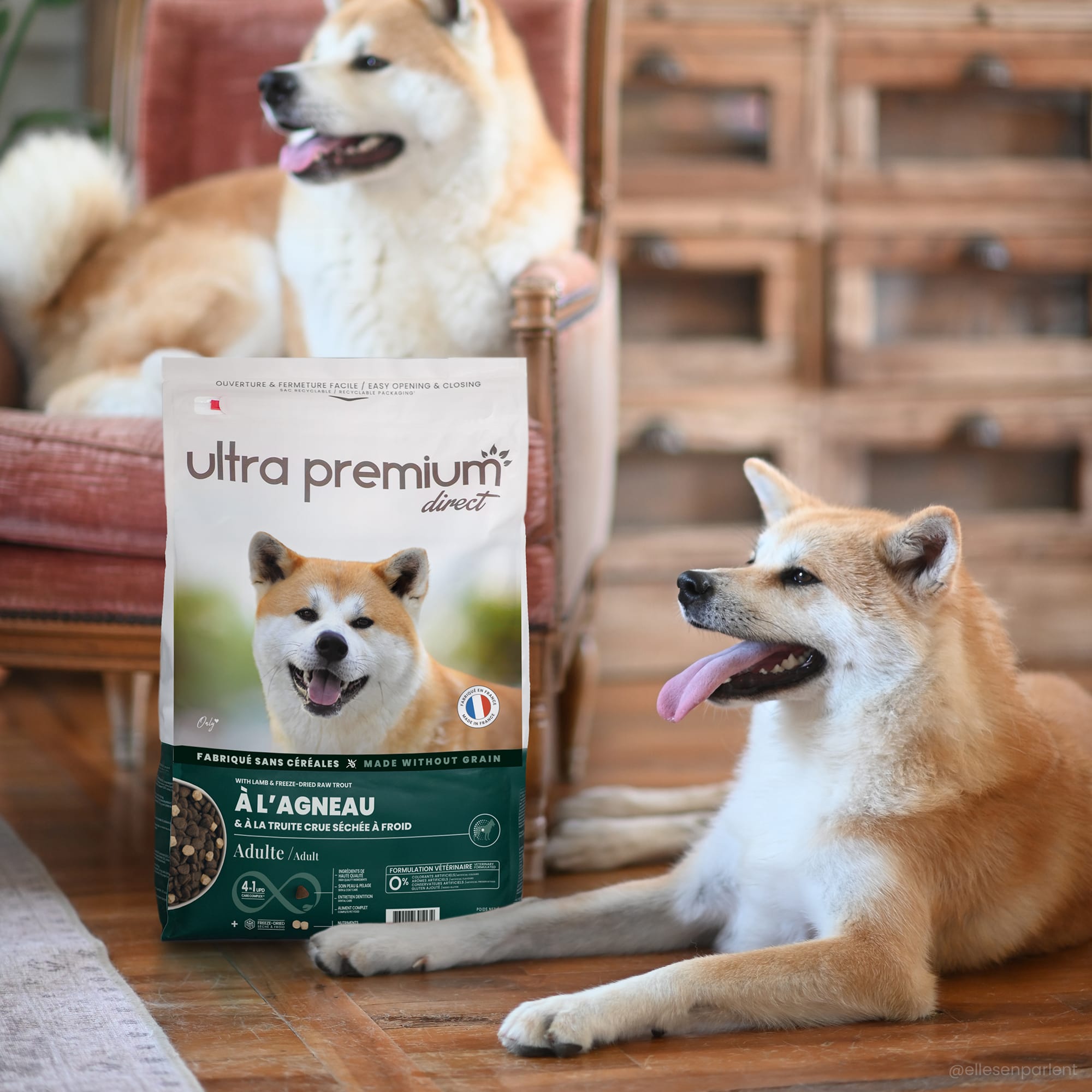 Twee Akita Inu naast een zak brokjes binnenshuis 