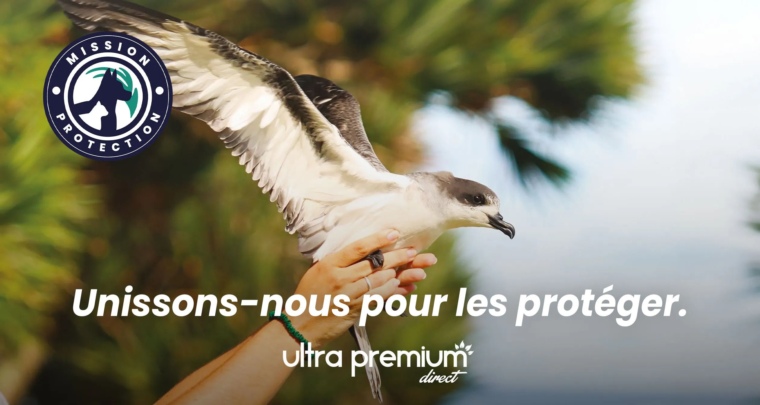 Mains qui tiennent un oiseau qui s'envole 