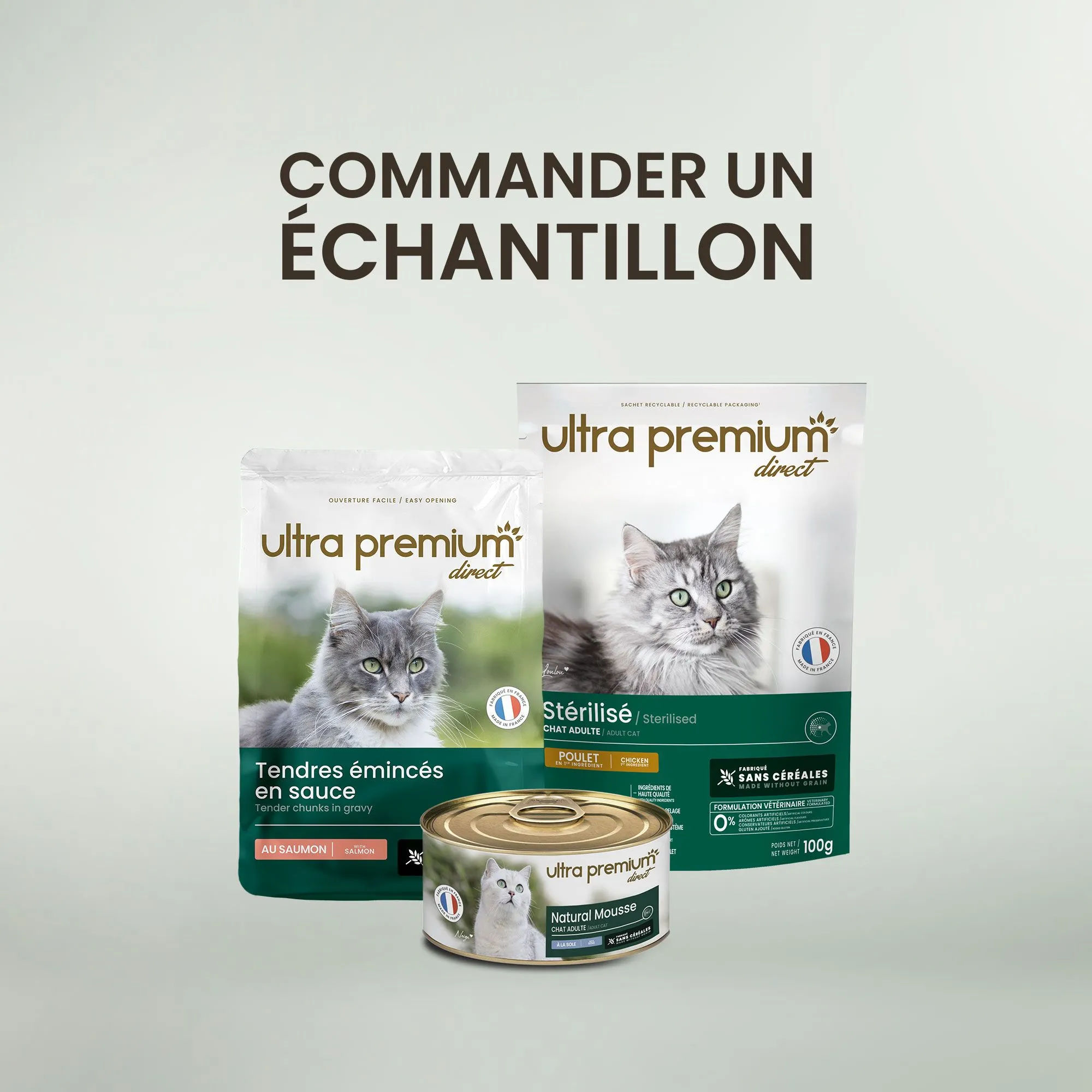 Echantillon chat