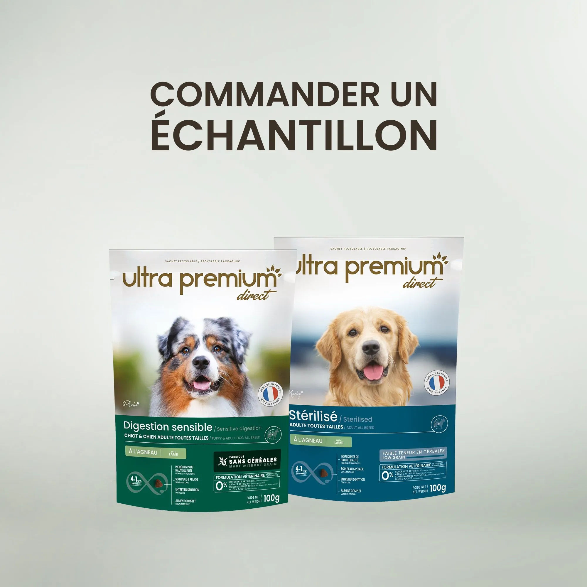 Echantillon chien
