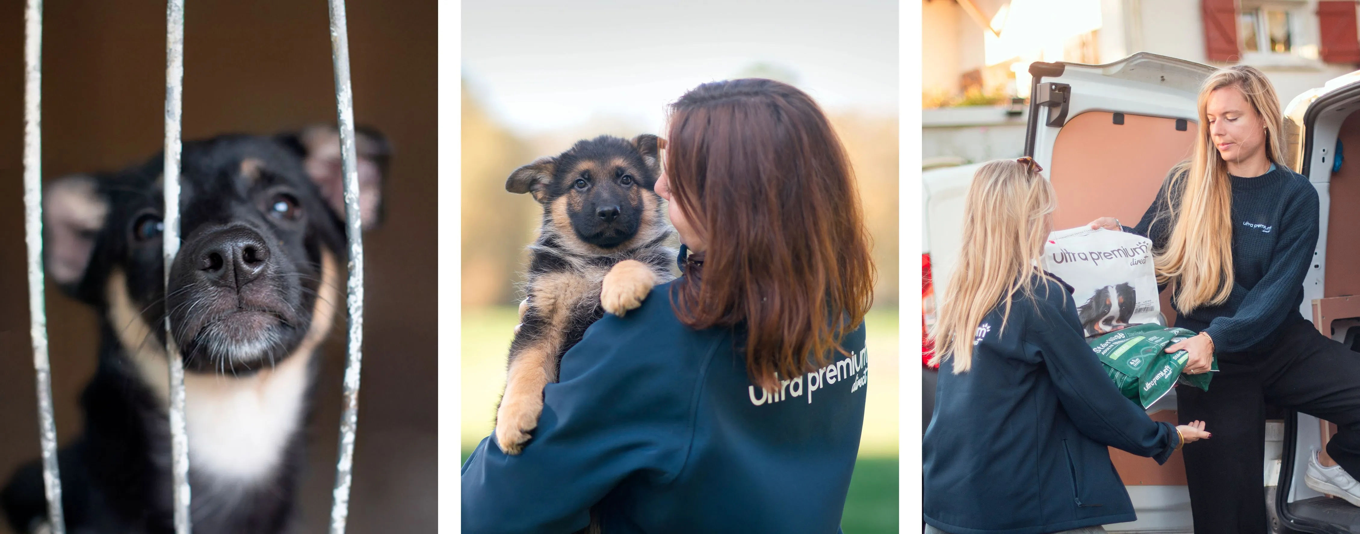 Bénévoles Ultra Premium Direct au sein d'un refuge