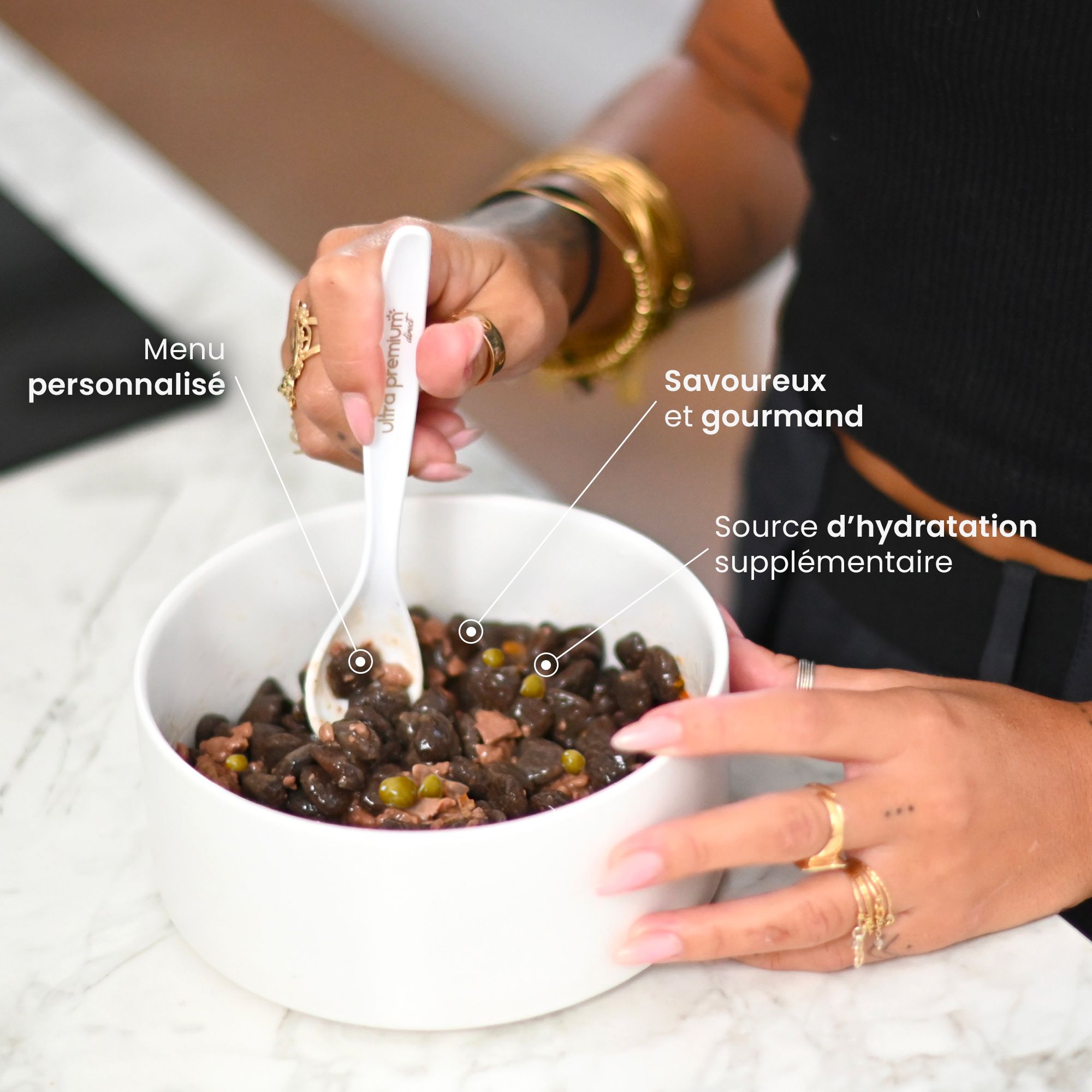 Gamelle contenant des croquettes avec mise en avant des bienfaits de la soupe aux effilés au saumon