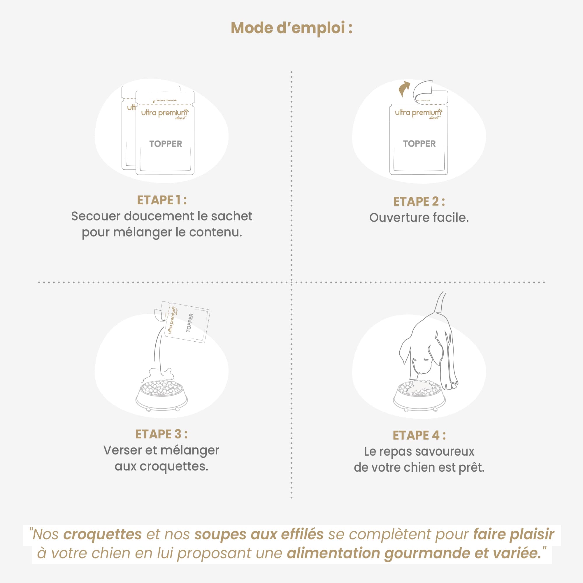 Mode d'emploi de la soupe aux effilés sans céréales au saumon pour chien adulte