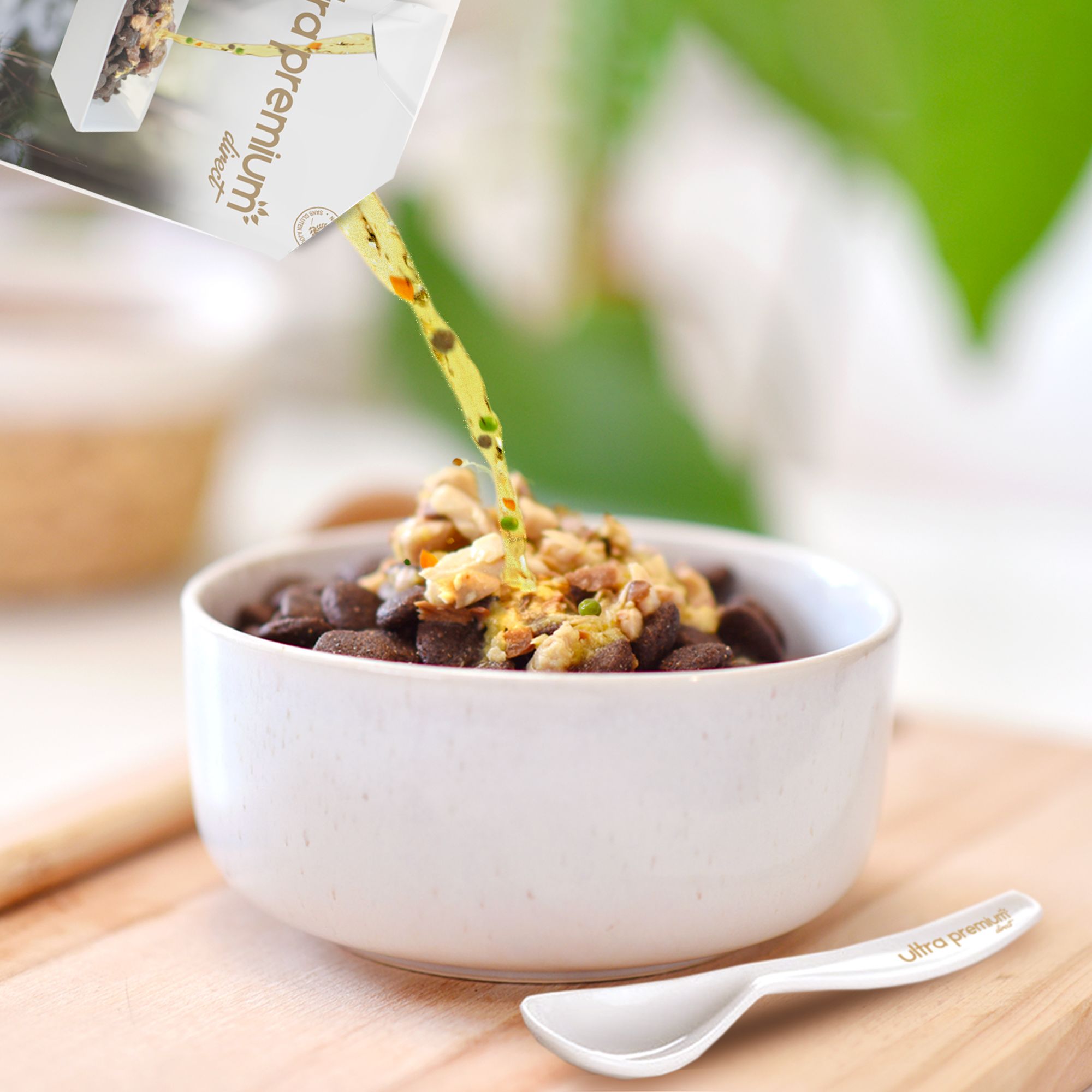 Soupe aux effilés pour chien sans céréales au saumon versée sur une gamelle de croquettes