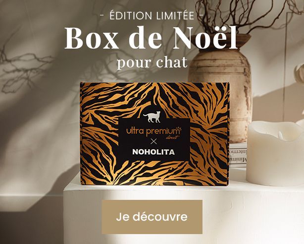 Box Noël Chat