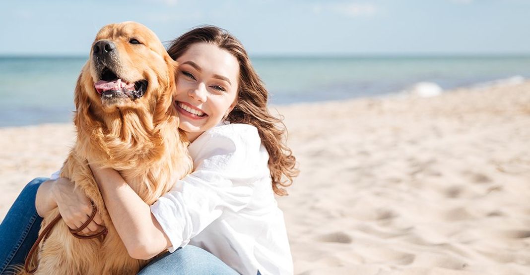 Chien sur la plage dans les bras de sa maîtresse