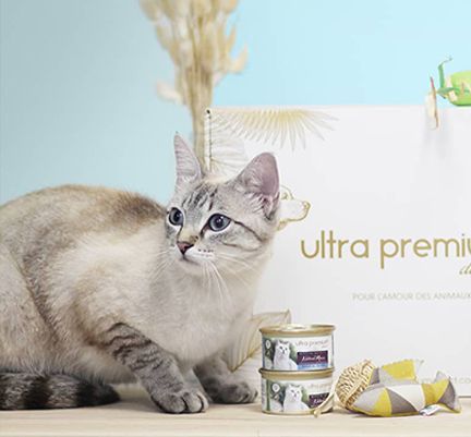 Chat près de la box d'été Ultra Premium Direct