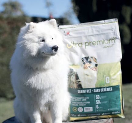 Un chien blanc au poil long, en pleine nature, devant un sac de croquettes sans céréales Ultra Premium Direct