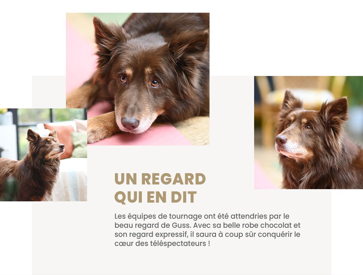 Infographie film TV très zen Ultra Premium Direct