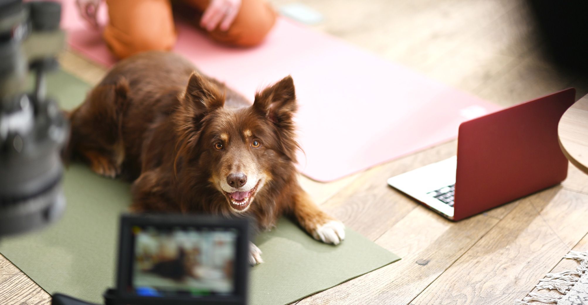 Film TV très zen Ultra Premium Direct