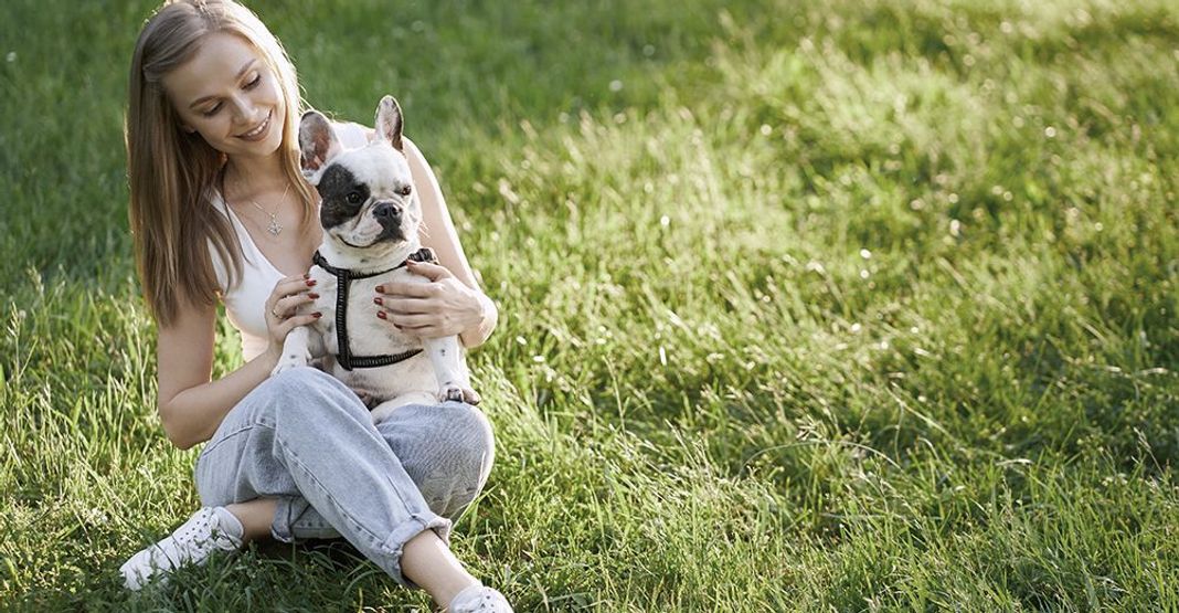 Un chien sur les genoux de sa maîtresse en plein air