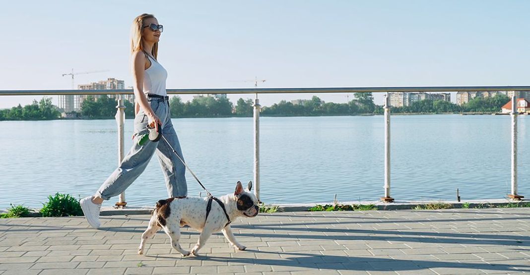 Une femme promenant son chien