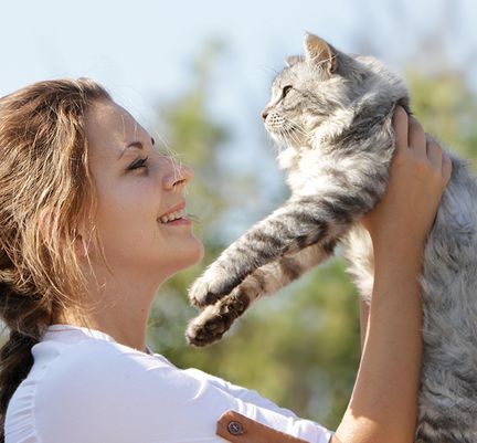 Mon Animal A Disparu Que Faire Si Mon Chien Ou Mon Chat S Est Perdu Blog Ultra Premium Direct Mon Animal A Disparu Que Faire Si Mon Chien Ou Mon Chat S Est Perdu Blog Ultra Premium Direct