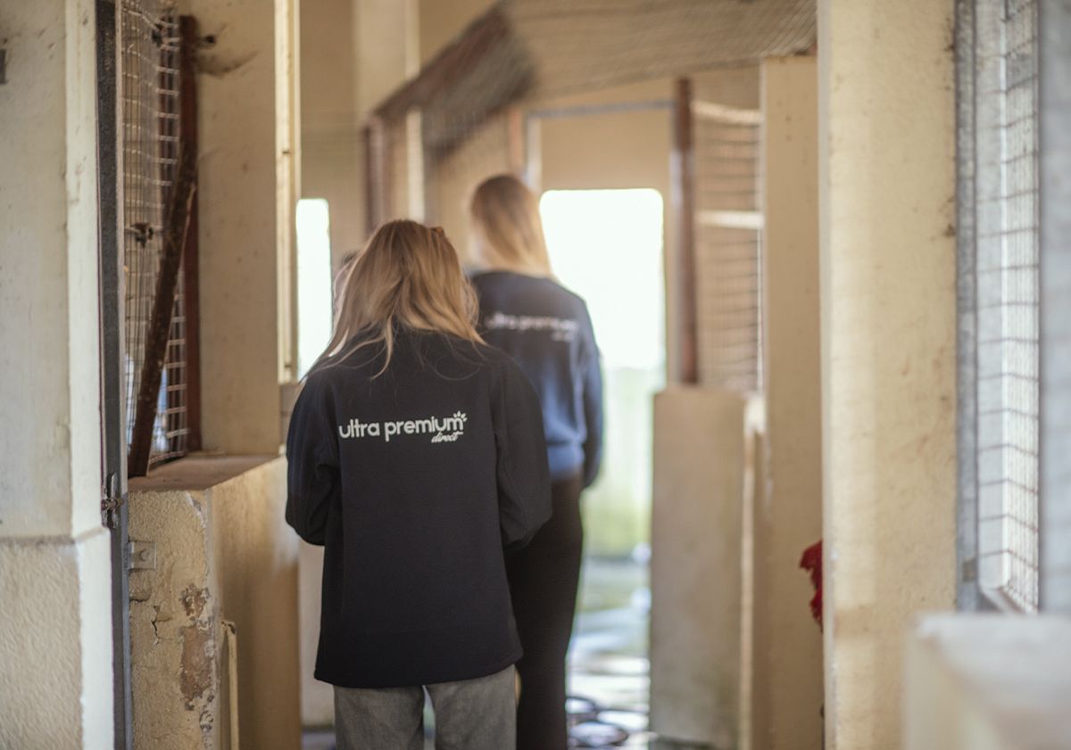 Fondation Ultra Premium Direct