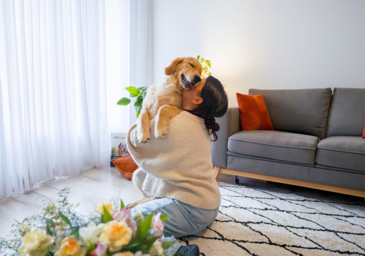 golden retriever faisant un câlin à sa maîtresse en télétravail