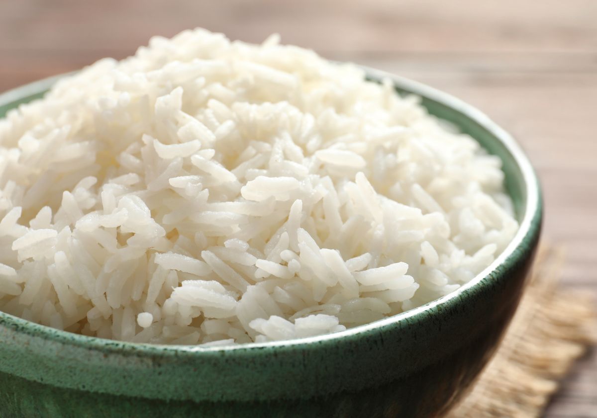 riz blanc diarrhée chien