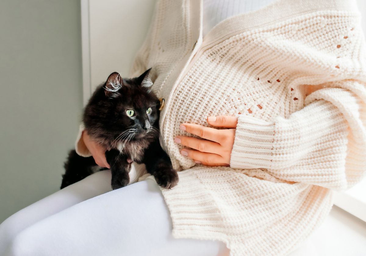 femme enceinte portant un chat noir