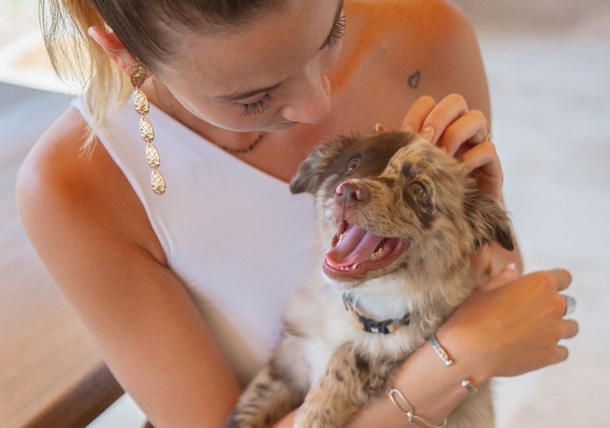 chiot berger australien dans les bras de sa maîtresse