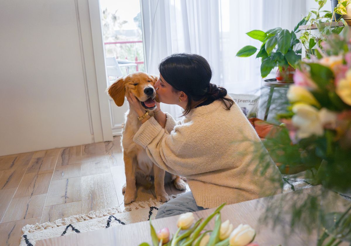 chiot golden retriever recevant un bisou de sa maîtresse