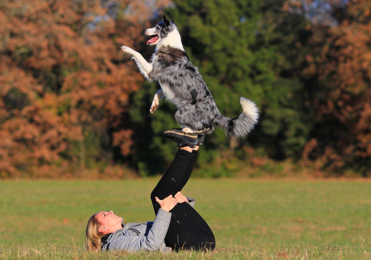 chien faisant de l'obérythmée avec sa maîtresse