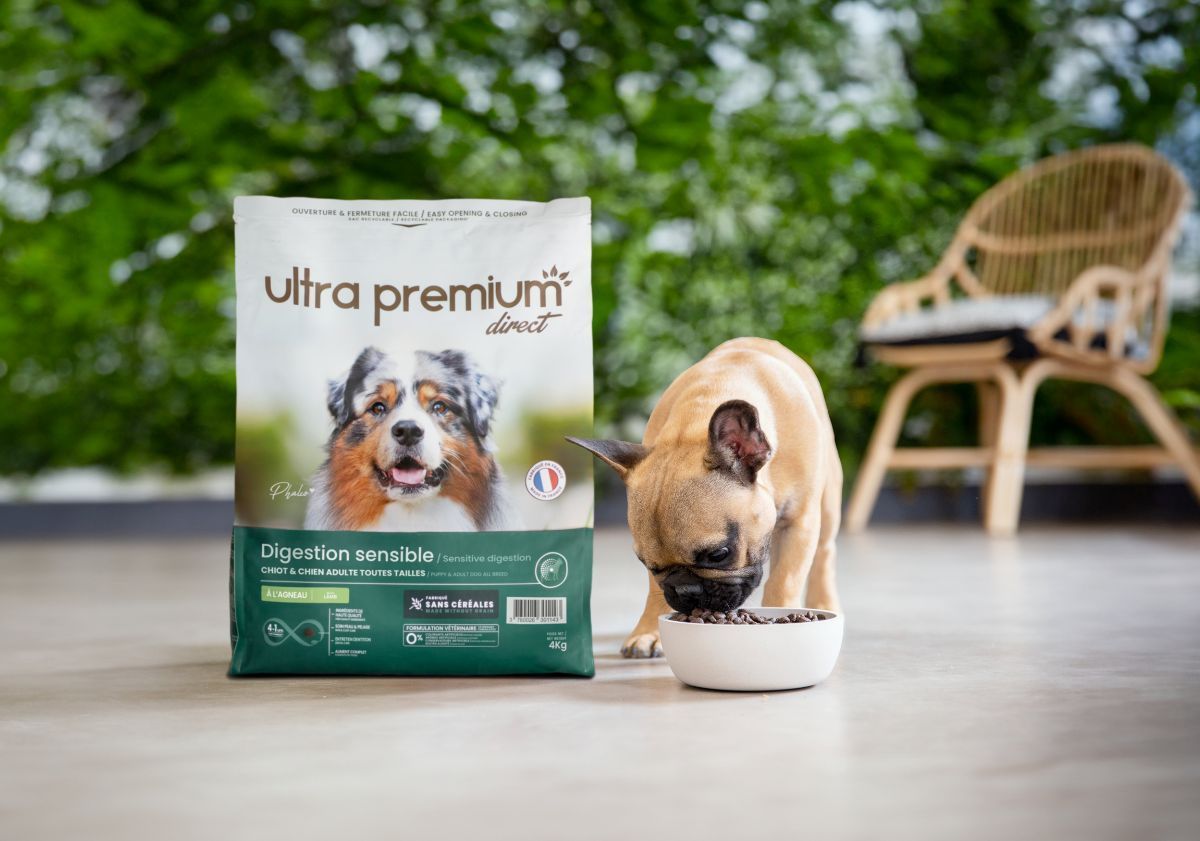 croquettes chien ultra premium direct bouledogue français