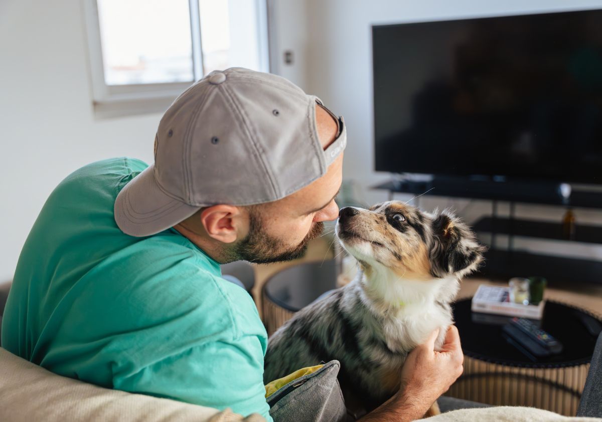 chiot berger australien avec son maître