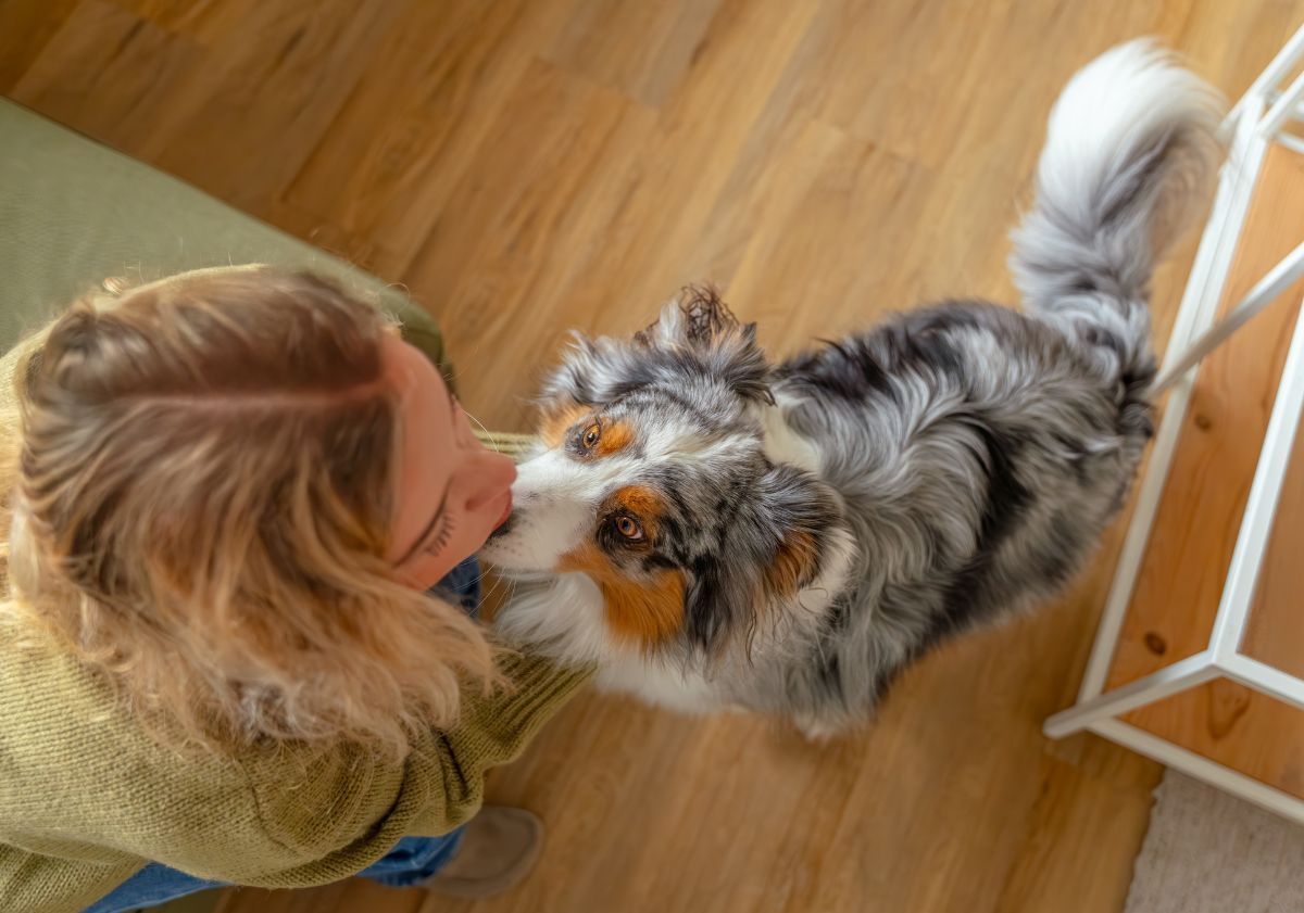 chien faisant un câlin à sa maîtresse