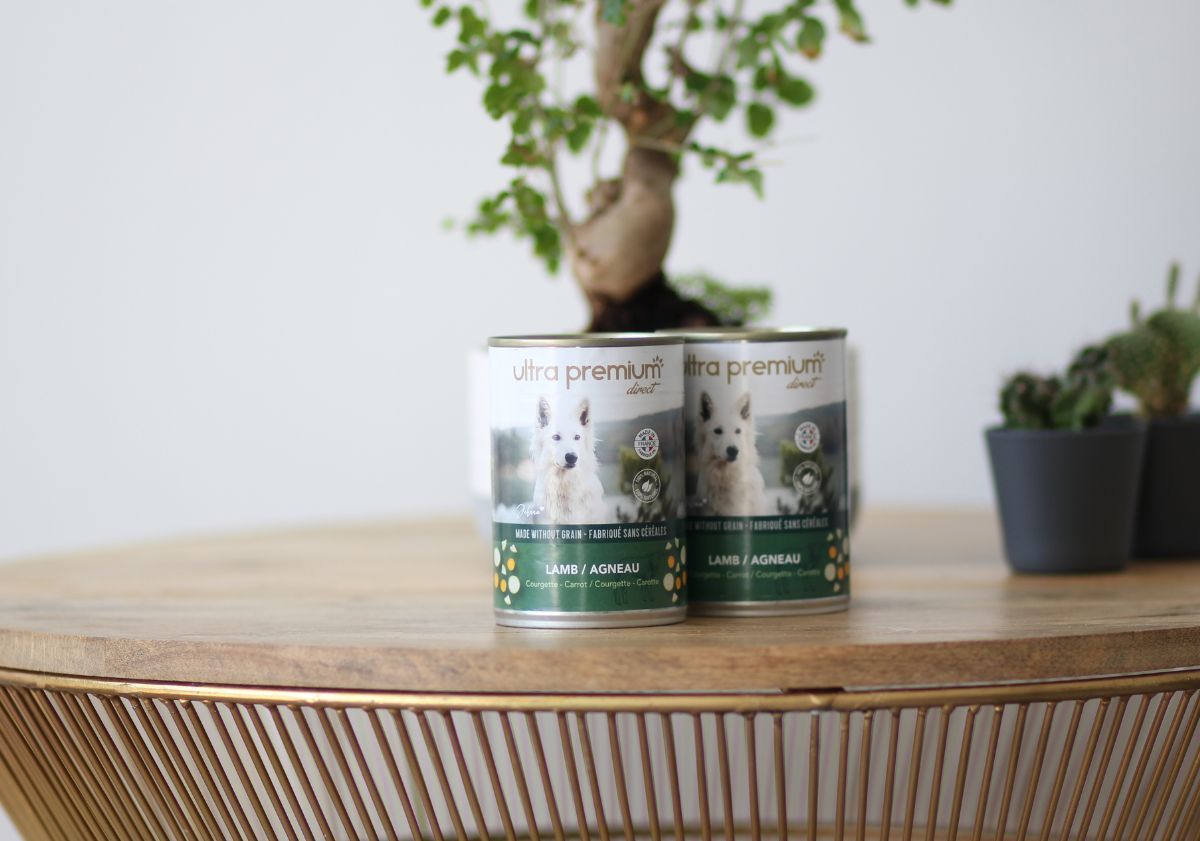 pâtées pour chien ultra premium direct à l'agneau