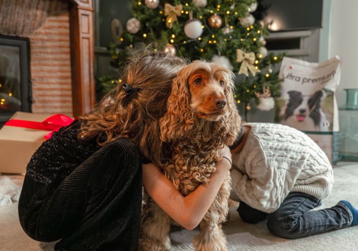 cocker devant un sapin de Noël avec des enfants
