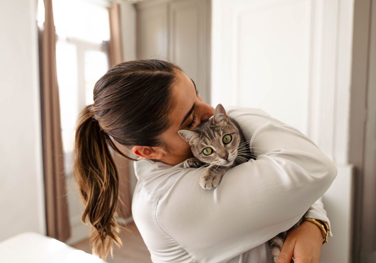 chat dans les bras de sa maîtresse