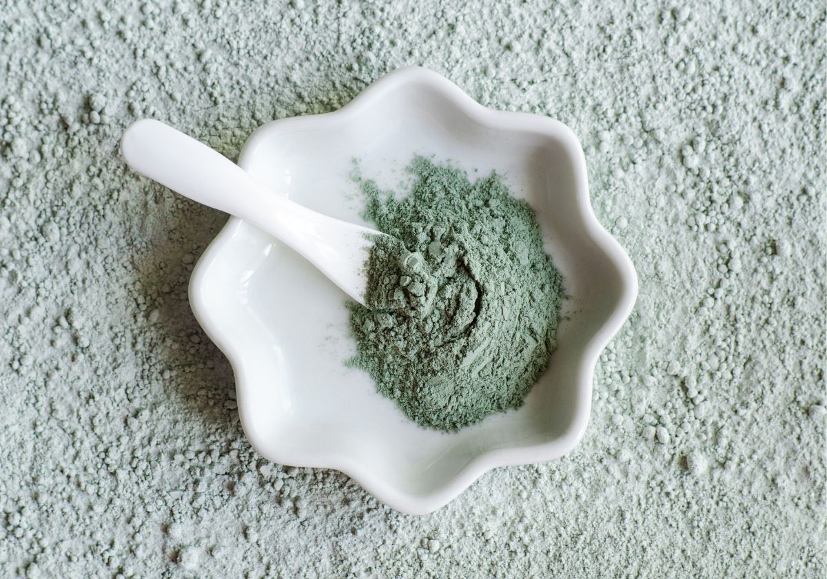 argile verte dans un pot