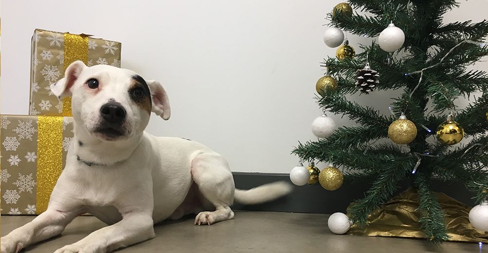 Ultra Bonne année 2015