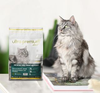 Chat à côté d'un sac de croquettes pour chat d'Ultra Premium Direct
