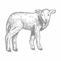 Agneau.png