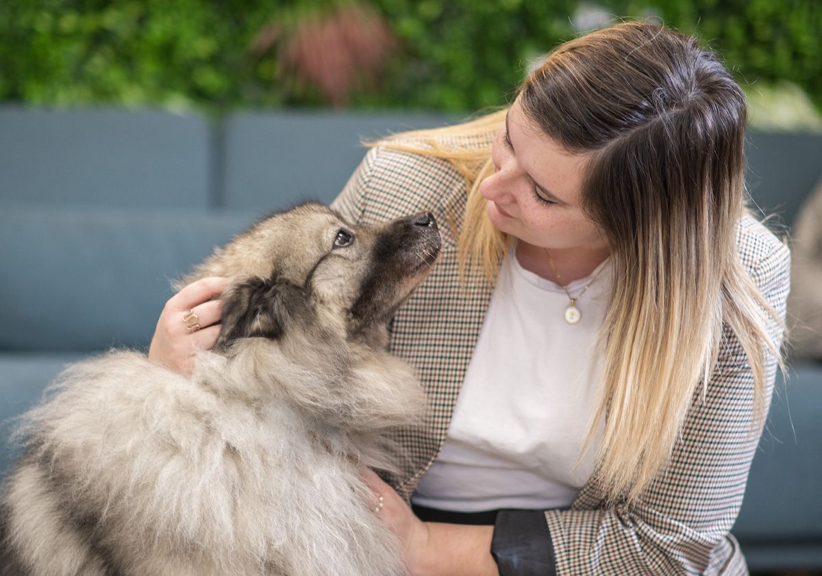 Moment câlin entre un chien et son propriétaire