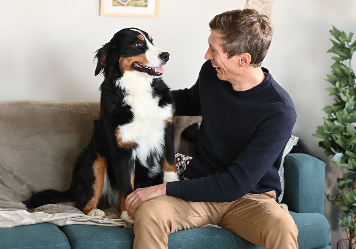 Bouvier Bernois et son maître