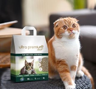 Chat près de la litière végétale d'Ultra Premium Direct